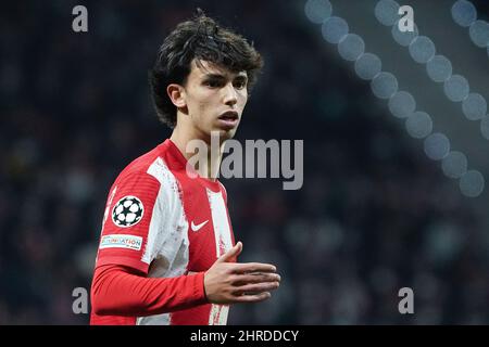 Madrid, Spain. 23rd Feb, 2022. Joao Felix of Atletico Madrid seen during the first leg of the UEFA Champions League round of 16 soccer match between Atletico Madrid and Manchester United at Wanda Metropolitano Stadium. Credit: SOPA Images Limited/Alamy Live News Stock Photo