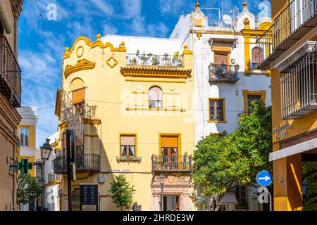 Typical Andalusian color and architecture on residential and commercial buildings in the colorful Barrio Santa Cruz district of Seville, Spain. Stock Photo