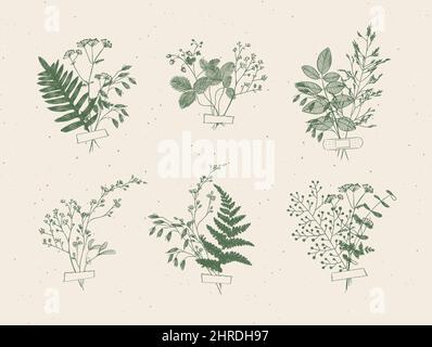 Branches and leaves are collected into a bouquet with sticker drawing in green color on beige background Stock Vector