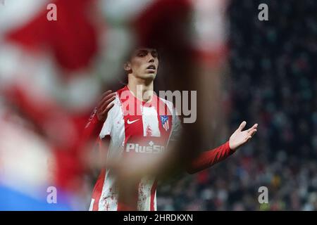 Madrid, Spain. 23rd Feb, 2022. Joao Felix of Atletico Madrid seen during the first leg of the UEFA Champions League round of 16 soccer match between Atletico Madrid and Manchester United at Wanda Metropolitano Stadium. (Photo by Atilano garcia/SOPA images/Sipa USA) Credit: Sipa USA/Alamy Live News Stock Photo