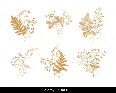 Branches and leaves are collected into a bouquet with sticker drawing in beige color on white background Stock Vector