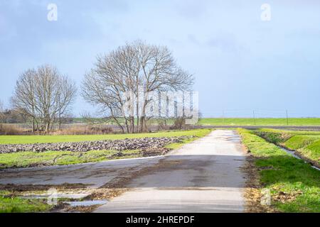 Scenic view of a dead end road in the Dutch countryside. Focus on background. Stock Photo