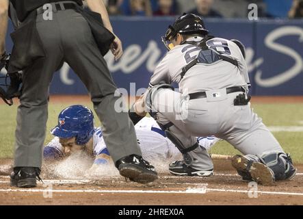 Toronto Blue Jays Austin Martin (80) during warmups before a Major League  Spring Training game against the Pittsburgh Pirates on March 1, 2021 at the  TD Ballpark in Dunedin, Florida. (Mike Janes/Four Seam Images via AP Stock  Photo - Alamy