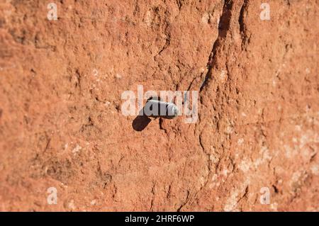 an old climbing bolt in red sandstone without a nut or hanger Stock Photo