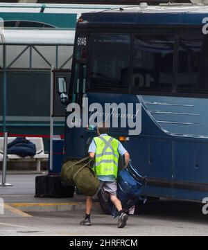 Greyhound luggage transport on sale