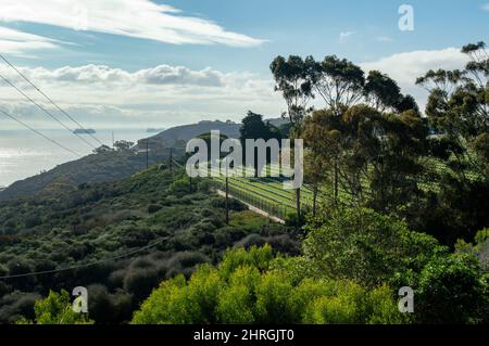 A shot of Headstones at Fort Rosecrans National Cemetery with the ocean in the background Stock Photo