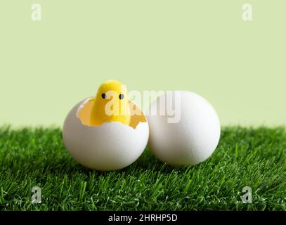 A toy chicken hatched from an egg on the green grass. Easter composition. New life concept. Copy space. Stock Photo