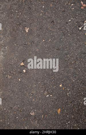 wet gray asphalt after rain Stock Photo