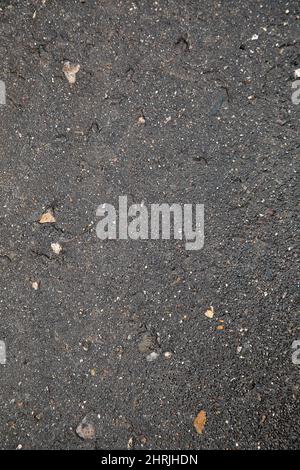 wet gray asphalt after rain Stock Photo