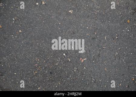 wet gray asphalt after rain Stock Photo