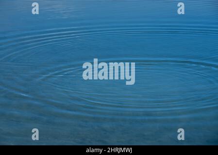 Background from the surface of a body of water, on which small waves spread out in a circle, in the blue water Stock Photo