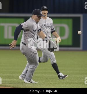 New York Yankees' Luke Voit takes batting practice before a spring training  baseball game against the Detroit Tigers, Wednesday, Feb. 27, 2019, in  Lakeland, Fla. (AP Photo/Lynne Sladky Stock Photo - Alamy