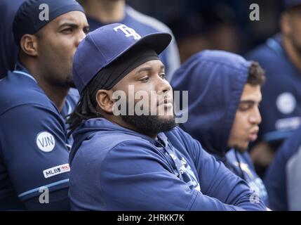 Tampa Bay Rays' Diego Castillo pitches to the Cleveland Indians during the  first inning of a baseball game Saturday, Aug. 31, 2019, in St. Petersburg,  Fla. (AP Photo/Chris O'Meara Stock Photo 