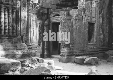 Black and white photograph of Ta Prohm Temple interior ruins, Angkor, Cambodia, Asia, 2005. Stock Photo