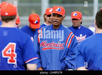 Former Montreal Expos Darren Fletcher, Larry Walker, manager Felipe alou  and Denis Boucher, left to right, line up as members of the 1994 team are  introduced prior to a pre-season game with