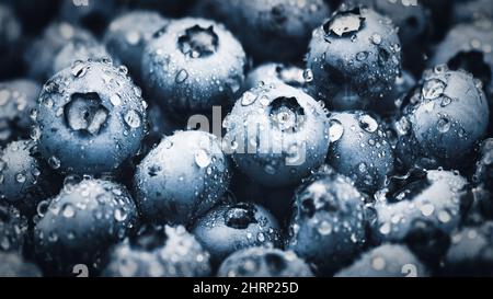 Blueberry macro texture, blueberries wet with water drops closeup Stock Photo