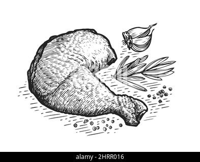 Chicken sketch realistic vector illustration in black on white background  Stock Vector Image & Art - Alamy
