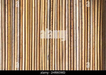 the texture is beautiful from metal wood of various shapes Stock Photo