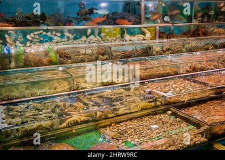 Live fish and seafood, including endangered horseshoe crabs, on display in tanks outside a restaurant at Sai Kung waterfront, Hong Kong Stock Photo