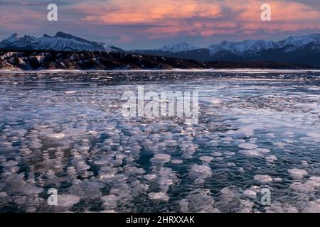 methane gas bubbles Abraham Lake Alberta Canada Stock Photo