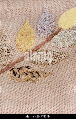 Selection of different and alternative healthy grains in the shape of a wheat flower Stock Photo