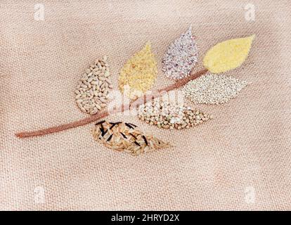 Selection of different and alternative healthy grains in the shape of a wheat flower Stock Photo