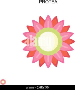 Protea Simple vector icon. Illustration symbol design template for web mobile UI element. Stock Vector