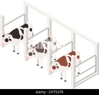 Milk production isometric composition with isolated image of range with cows on blank background vector illustration Stock Vector