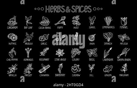 Herbs and spices icons, drawn element in doodle style. Template package design on a black background. Logo or emblem - herbs and spices - poppy, cashe Stock Vector