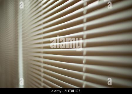 Blinds in office. Interior details. Window is closed from light. Protection from spicy sunlight. Blinds on window. Stock Photo