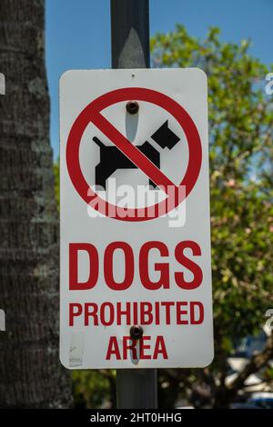 Dogs prohibited are sign Stock Photo