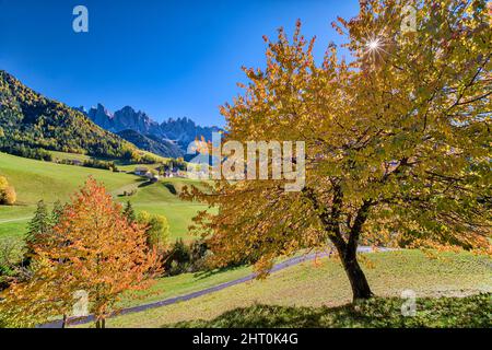 View of the Church of St. Magdalena in Villnöss valley, north faces and summits of Odle group in the distance, in autumn. Stock Photo