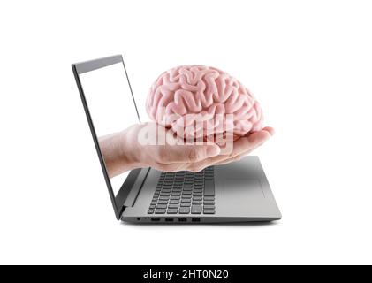 Human brain on hand out of a laptop screen isolated on white Stock Photo