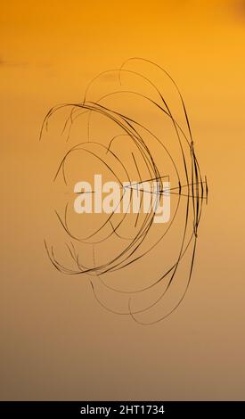 Vertical shot of an abstract art on the yellow background Stock Photo