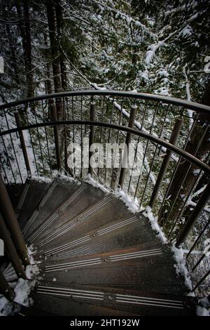 Vertical shot from the Cliffwalk at Capilano Bridge Park, Vancouver, BC, Canada Stock Photo