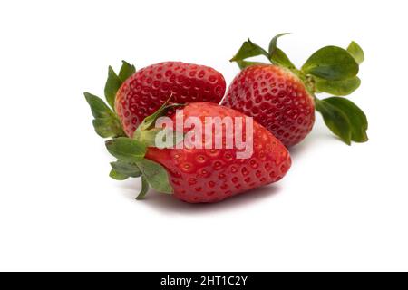 Three whole strawberries with their green leaves isolated on white background. Stock Photo