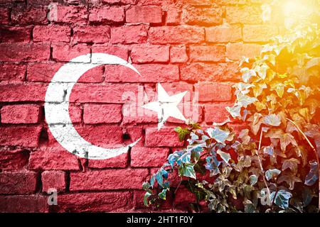 Turkey grunge flag on brick wall with ivy plant sun haze view, country symbol concept Stock Photo