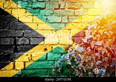 Jamaica grunge flag on brick wall with ivy plant sun haze view, country symbol concept Stock Photo