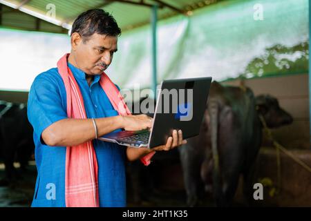 Indian milk dairy farmer busy using laptop at cattle farm house - concept of technology, internet, development and small business. Stock Photo