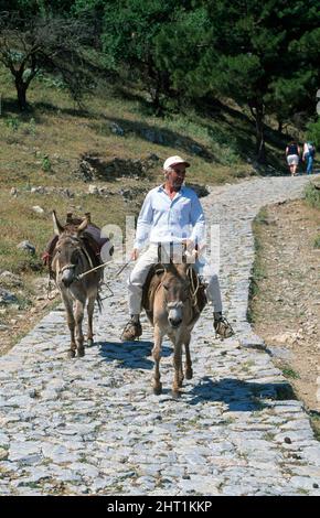 Donkeys, Lindos,  Rhodes Island, Dodecanese, Greece, Europe Stock Photo