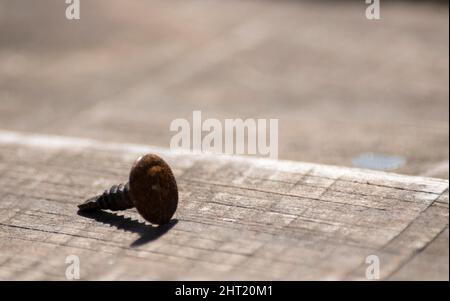 closeup of a rusty screw Stock Photo