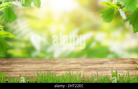 Empty wooden table top on blurred green natural background.  Stock Photo