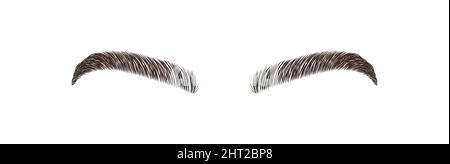 Elegant female eyebrows shape. Brow master logo. Permanent make-up and microblading. Linear vector Illustration in trendy minimalist style Stock Vector