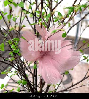 Easter Decoration on birch twigs Stock Photo