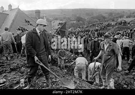 Aberfan - 21st October 1966 Local men and the emergency services hastily dig through the mud for survivors at The Pantglas Junior School.   The Aberfan disaster was a catastrophic collapse of a colliery spoil tip in the Welsh village of Aberfan, near Merthyr Tydfil. It was caused by a build-up of water in the accumulated rock and shale, which suddenly started to slide downhill in the form of slurry and engulfed The Pantglas Junior School below, on 21st October 1966, killing 116 children and 28 adults.   The original school site is now a memorial garden.   Picture taken 21st October 1966The eve Stock Photo