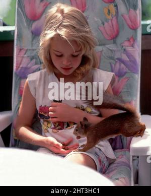 Squirrel eating hazelnuts from  a girl's hand Stock Photo