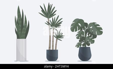 Collection of big flat indoor plant in vases standing on floor. Office, home and interior decoration elements Stock Vector