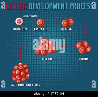 Cancer development process infographic illustration Stock Vector