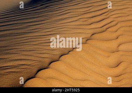 Patterns and textures on a desert sand dune created by the wind, South Africa Stock Photo