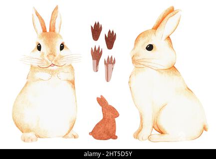 Rabbits. Watercolor illustration. Isolated on a white background. For your design of fabrics, greeting cards, gift packages, stationery, accessories. Stock Photo